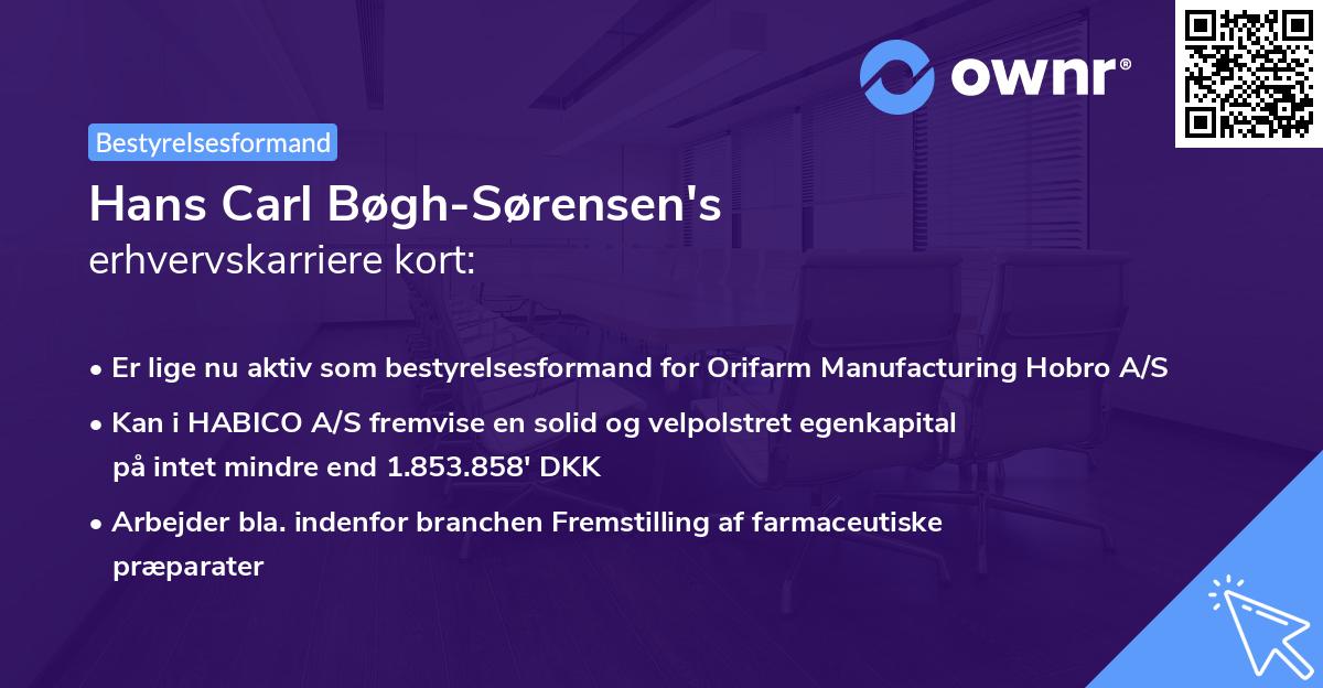 Hans Carl Bøgh-Sørensen's erhvervskarriere kort