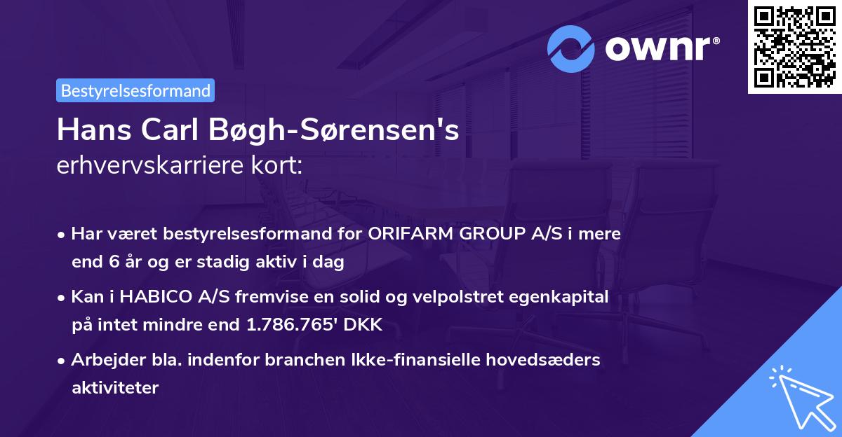 Hans Carl Bøgh-Sørensen's erhvervskarriere kort
