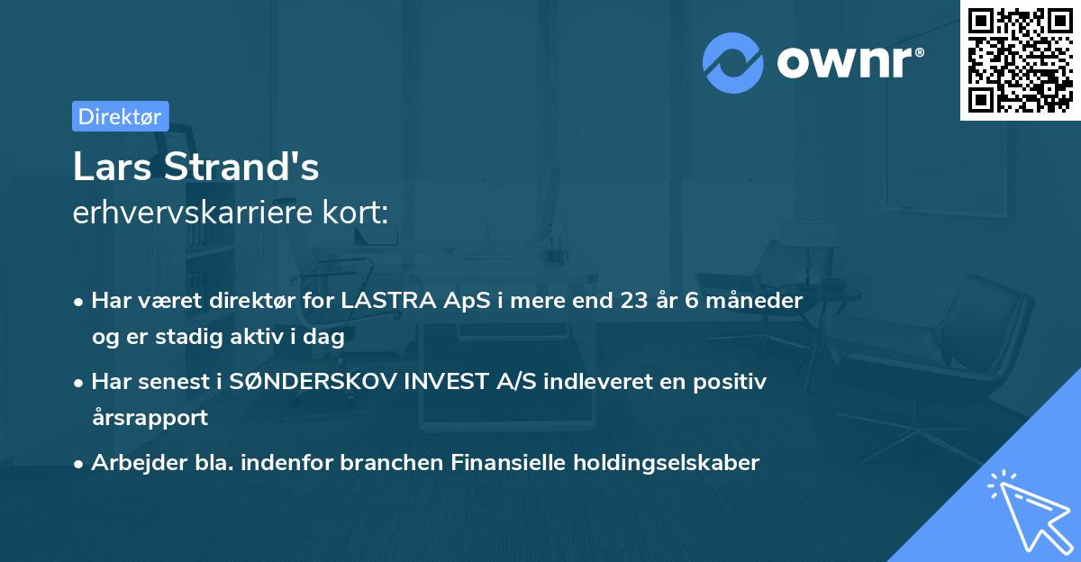 Lars Strand's erhvervskarriere kort