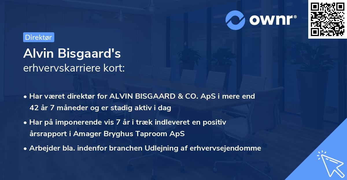 Alvin Bisgaard's erhvervskarriere kort