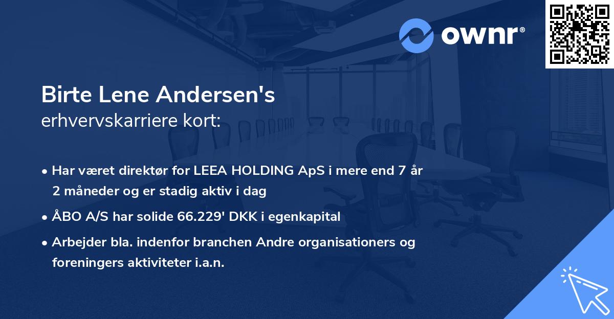 Birte Lene Andersen's erhvervskarriere kort