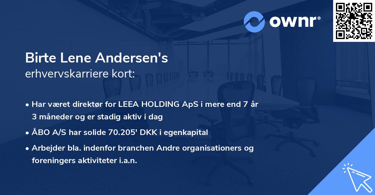 Birte Lene Andersen's erhvervskarriere kort