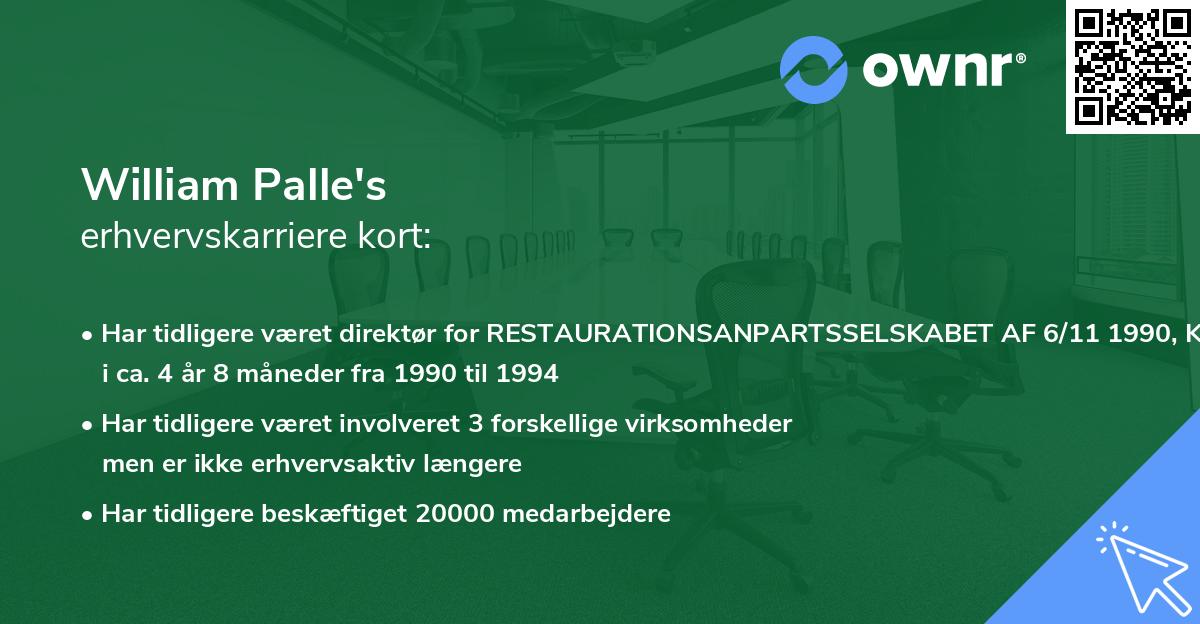 William Palle's erhvervskarriere kort