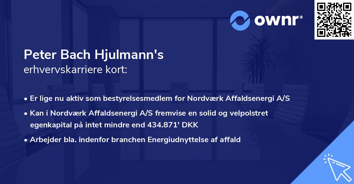Peter Bach Hjulmann's erhvervskarriere kort