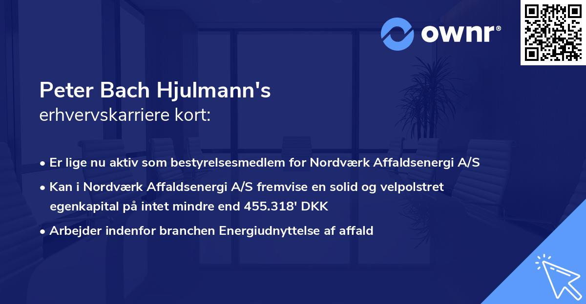 Peter Bach Hjulmann's erhvervskarriere kort