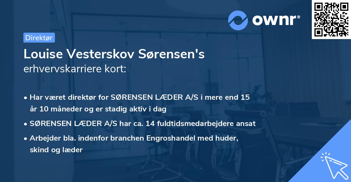 Louise Vesterskov Sørensen's erhvervskarriere kort