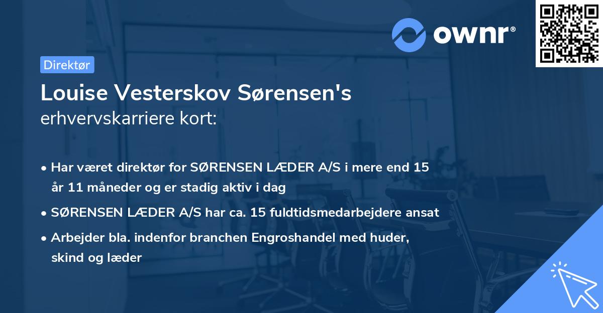 Louise Vesterskov Sørensen's erhvervskarriere kort