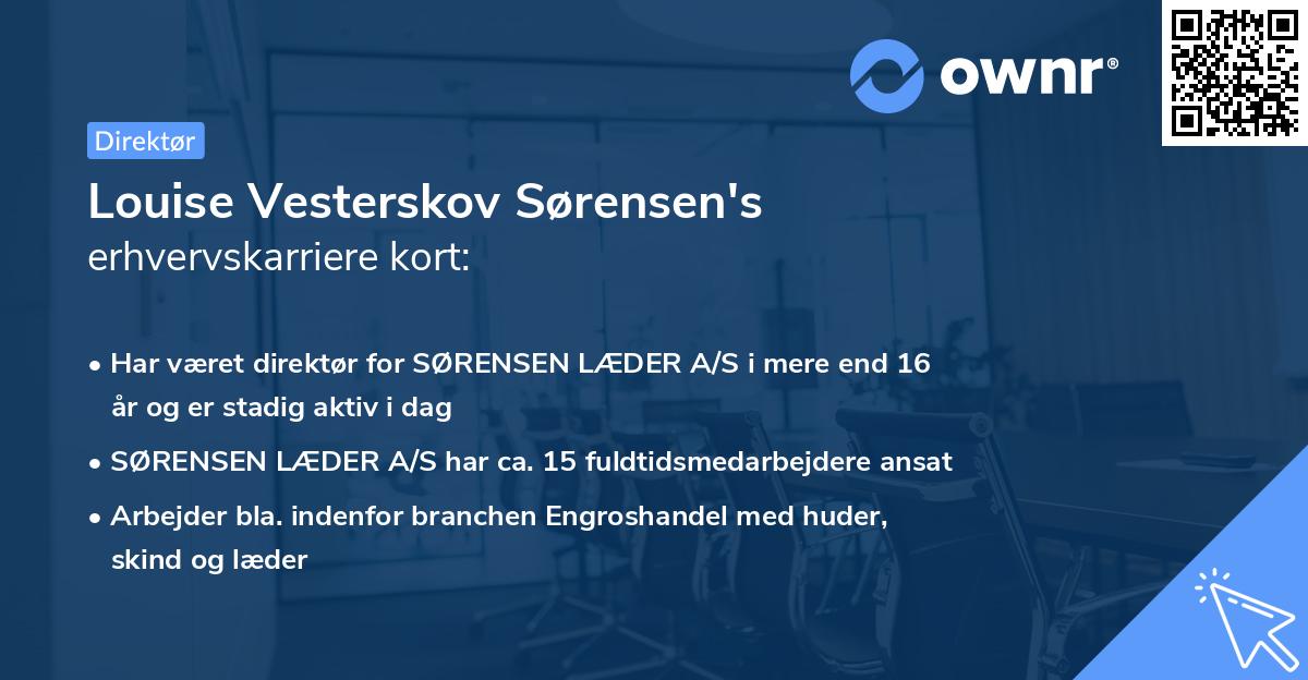 Louise Vesterskov Sørensen's erhvervskarriere kort