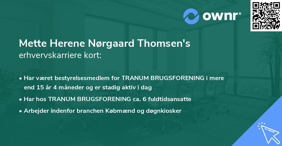 Mette Herene Nørgaard Thomsen's erhvervskarriere kort