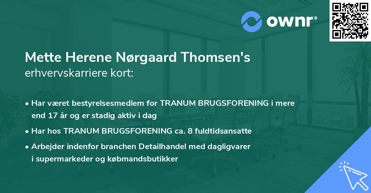 Mette Herene Nørgaard Thomsen's erhvervskarriere kort