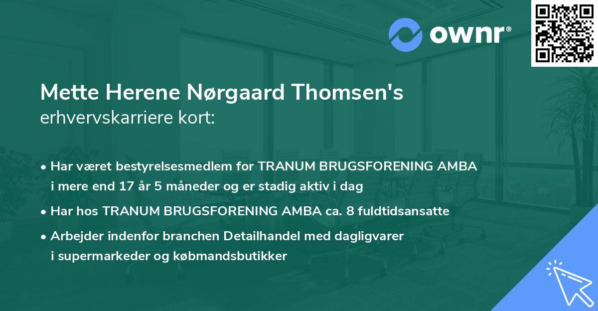 Mette Herene Nørgaard Thomsen's erhvervskarriere kort