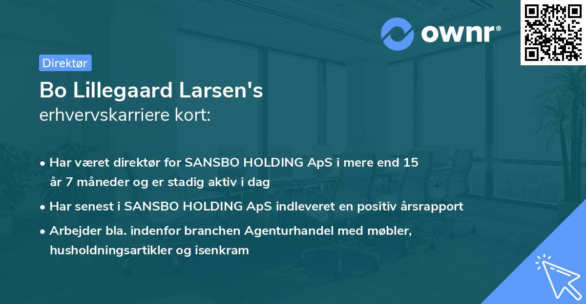Bo Lillegaard Larsen's erhvervskarriere kort