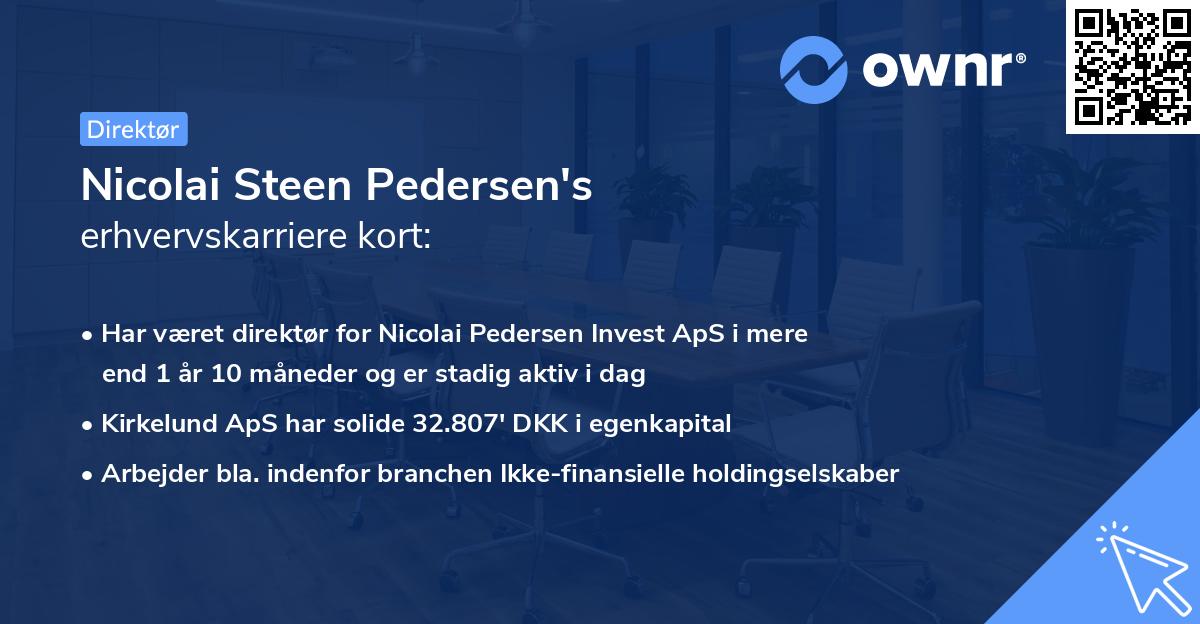 Nicolai Steen Pedersen's erhvervskarriere kort
