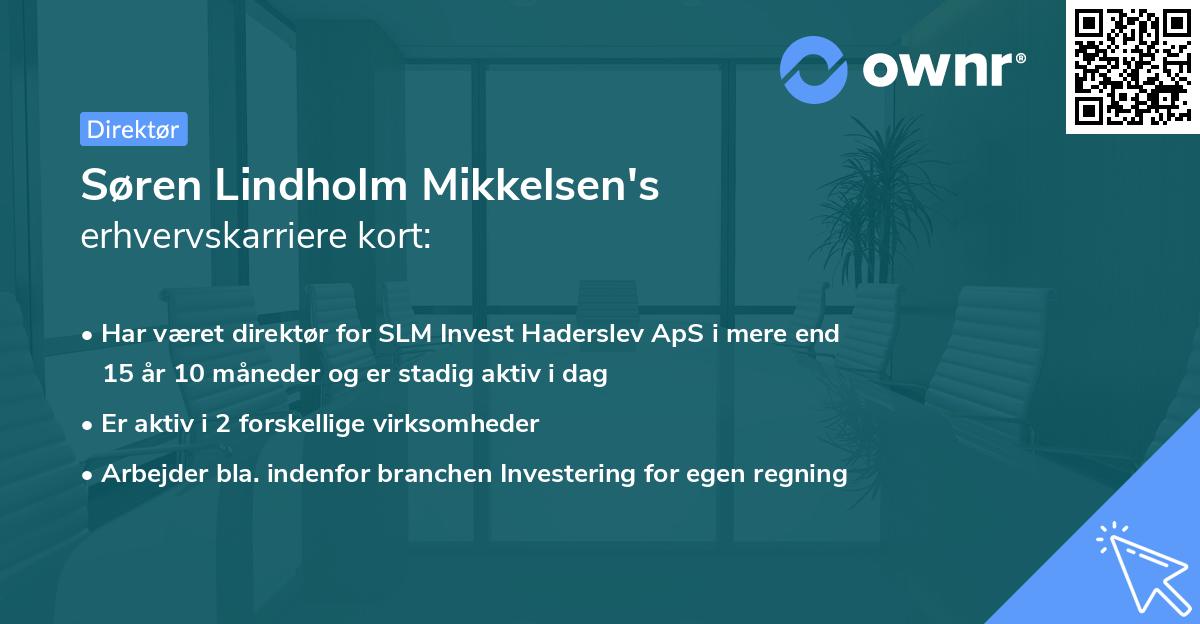 Søren Lindholm Mikkelsen's erhvervskarriere kort
