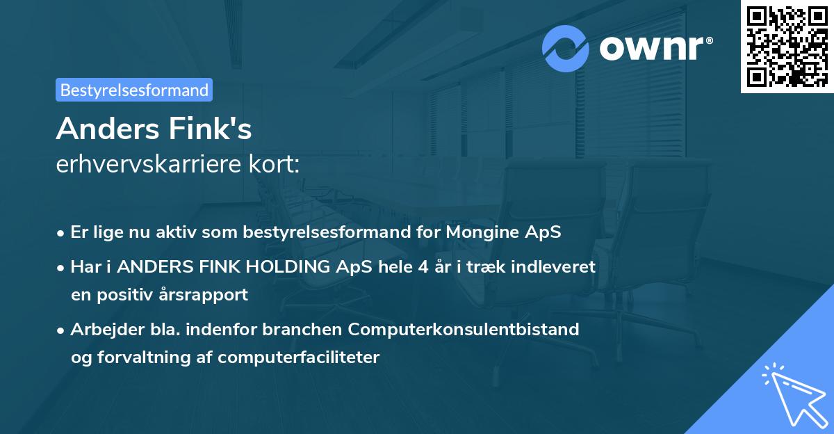 Anders Fink's erhvervskarriere kort