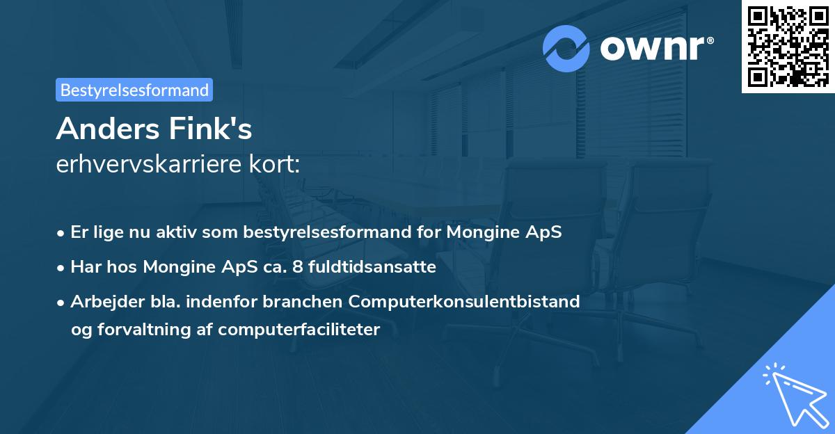 Anders Fink's erhvervskarriere kort