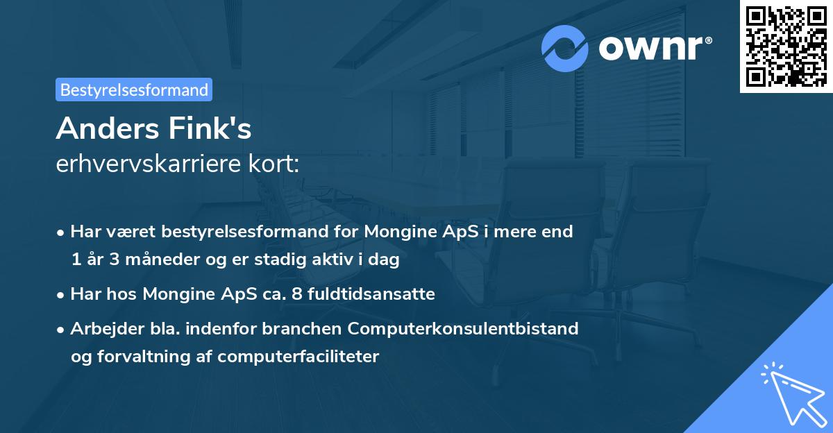 Anders Fink's erhvervskarriere kort