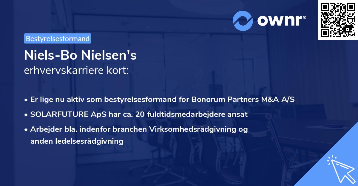 Niels-Bo Nielsen's erhvervskarriere kort