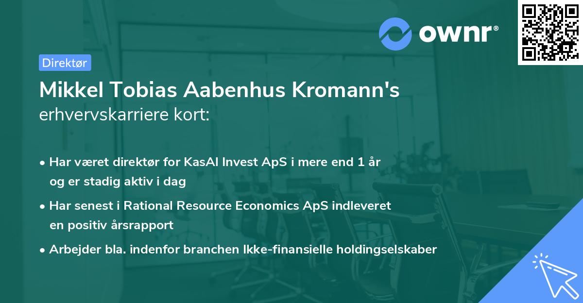 Mikkel Tobias Aabenhus Kromann's erhvervskarriere kort