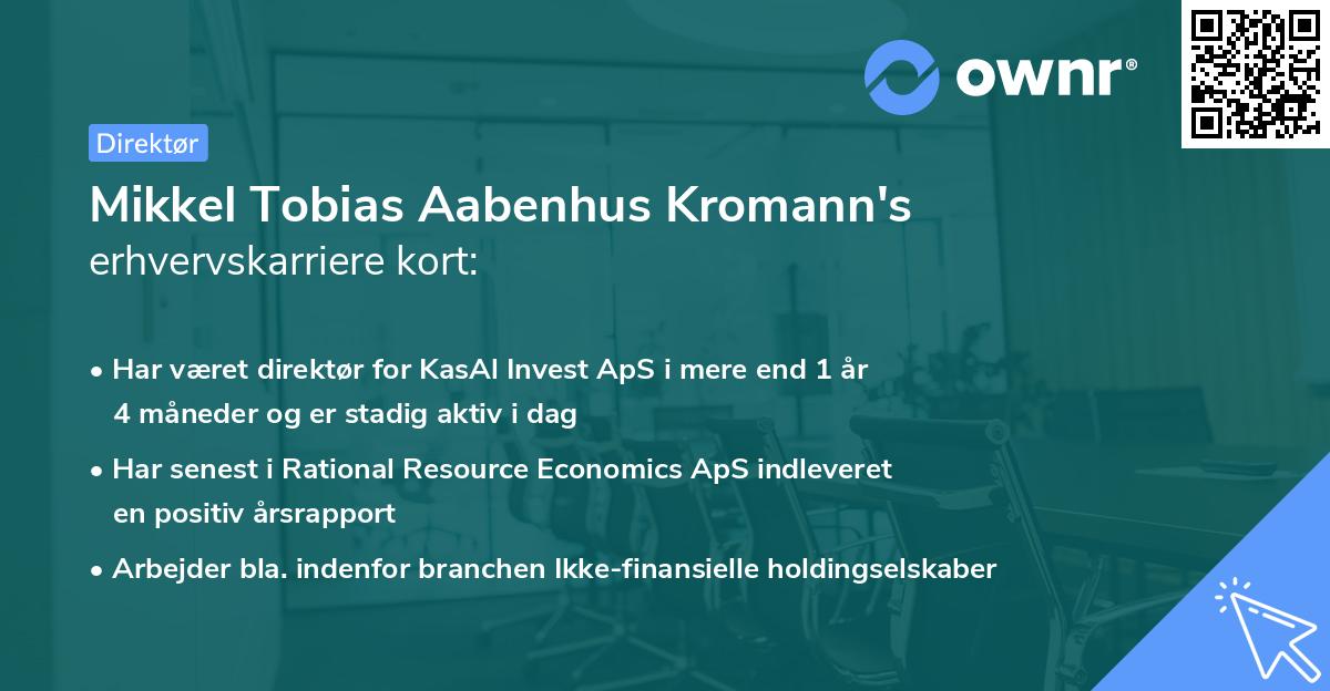 Mikkel Tobias Aabenhus Kromann's erhvervskarriere kort