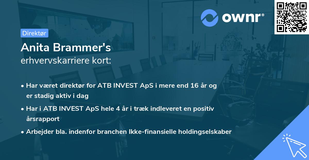 Anita Brammer's erhvervskarriere kort