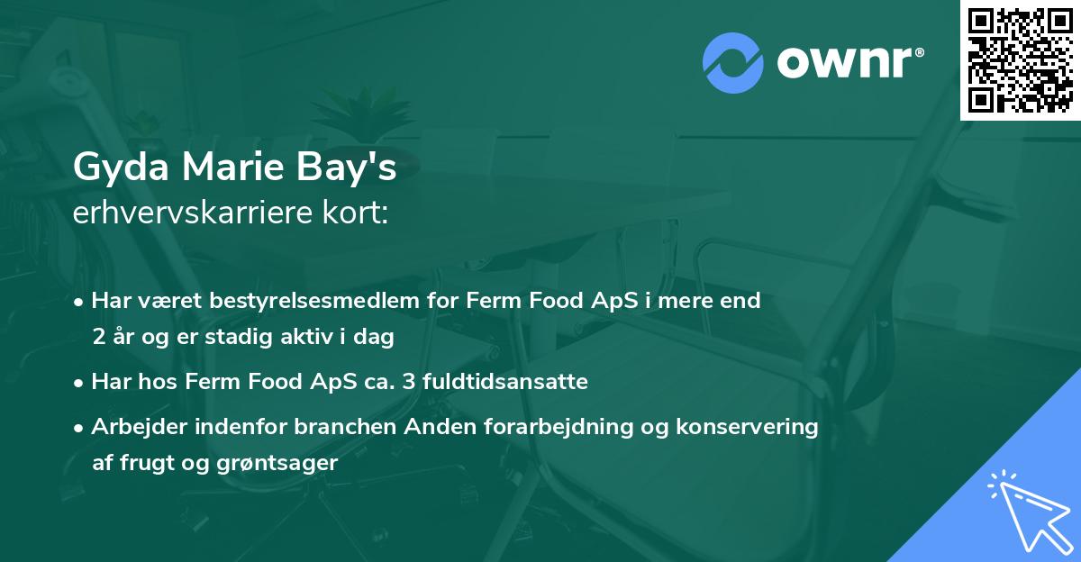 Gyda Marie Bay's erhvervskarriere kort
