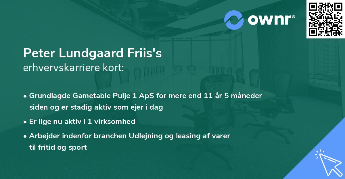 Peter Lundgaard Friis's erhvervskarriere kort