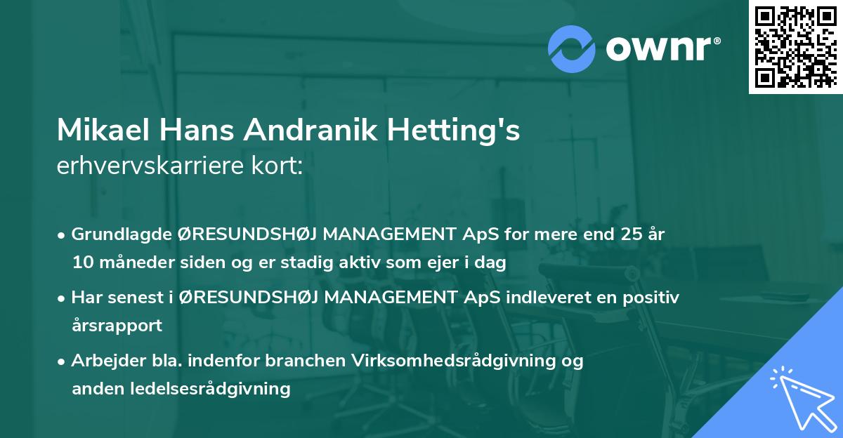 Mikael Hans Andranik Hetting's erhvervskarriere kort