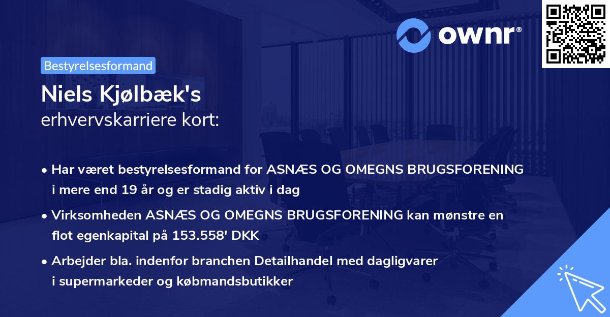 Niels Kjølbæk's erhvervskarriere kort
