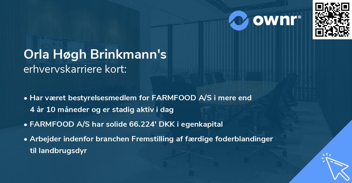 Orla Høgh Brinkmann's erhvervskarriere kort