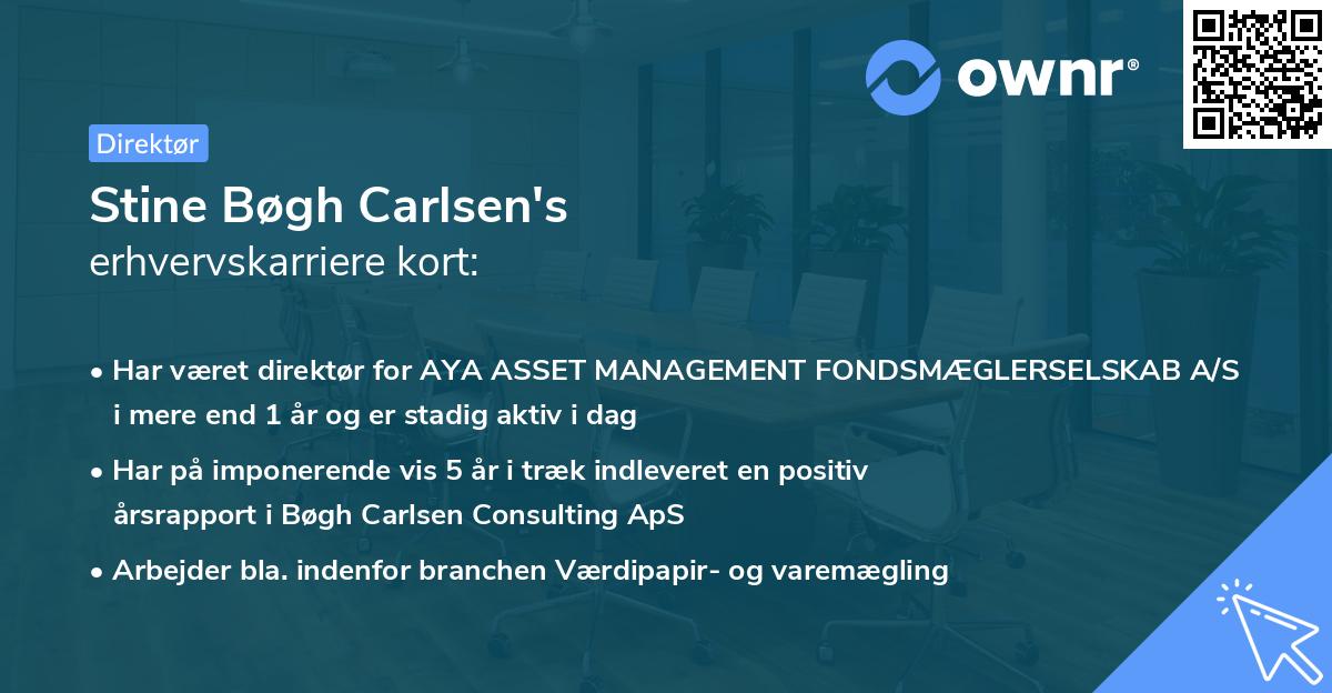 Stine Bøgh Carlsen's erhvervskarriere kort