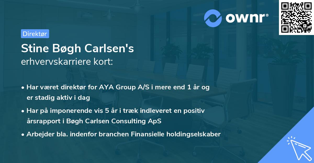 Stine Bøgh Carlsen's erhvervskarriere kort