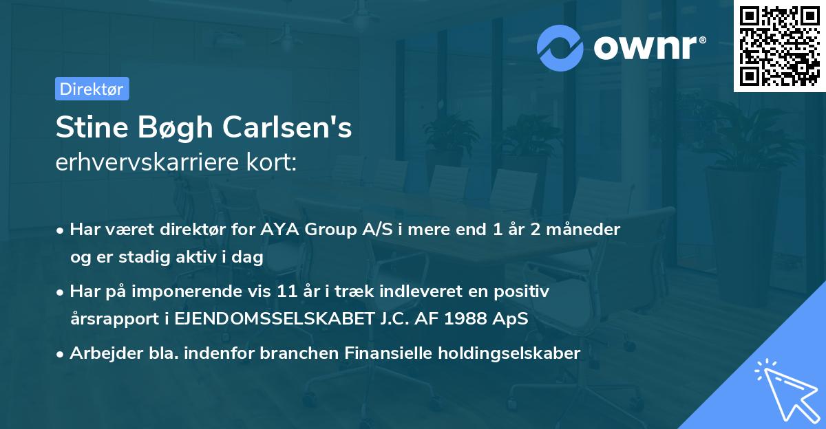 Stine Bøgh Carlsen's erhvervskarriere kort