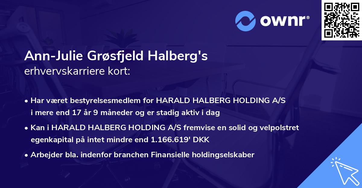 Ann-Julie Grøsfjeld Halberg's erhvervskarriere kort