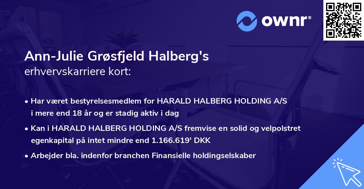 Ann-Julie Grøsfjeld Halberg's erhvervskarriere kort