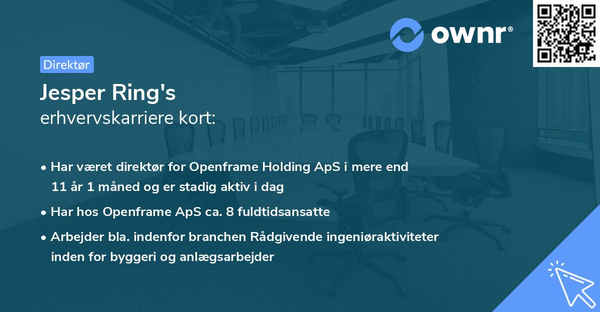 Jesper Ring's erhvervskarriere kort