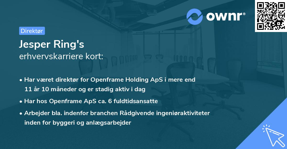 Jesper Ring's erhvervskarriere kort