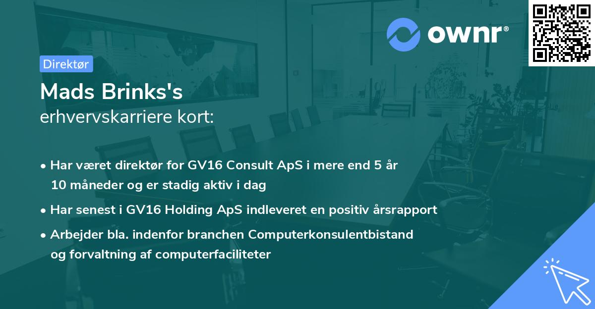 Mads Brinks's erhvervskarriere kort