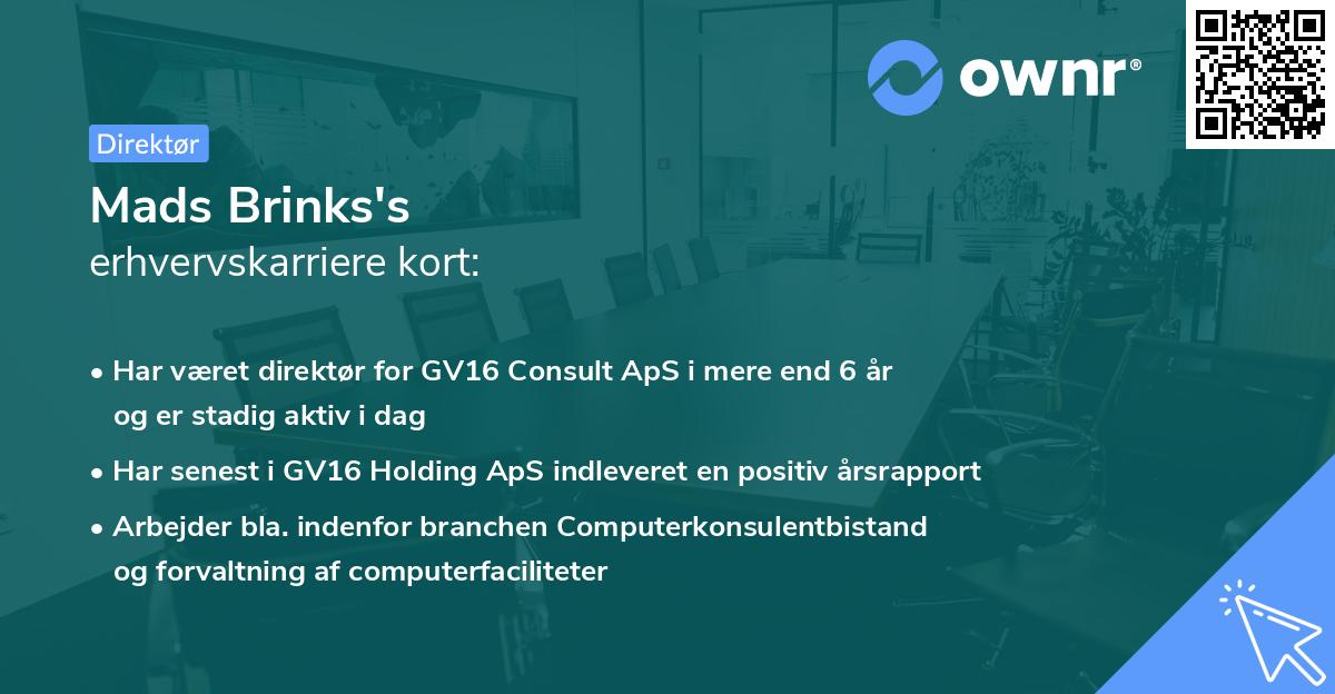 Mads Brinks's erhvervskarriere kort