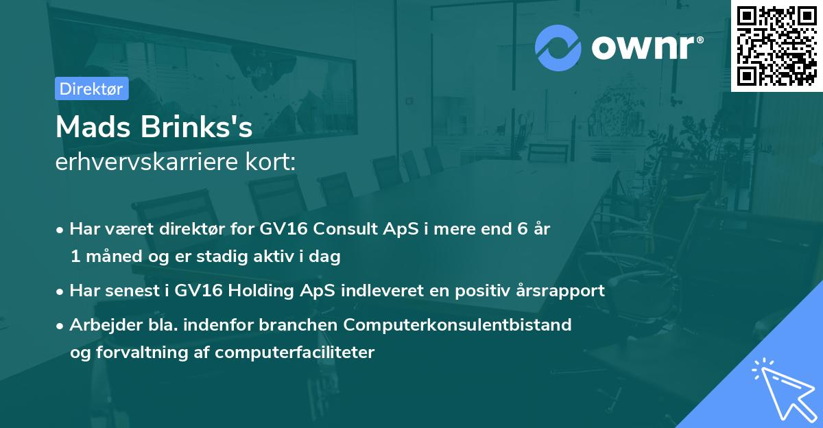 Mads Brinks's erhvervskarriere kort