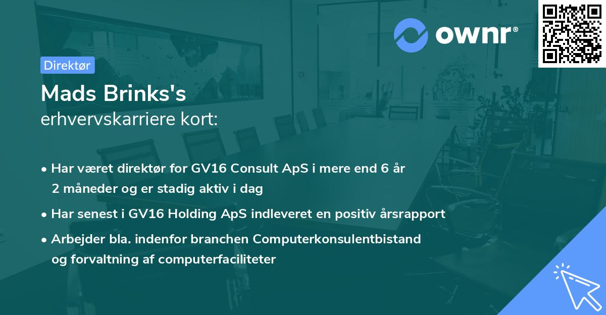 Mads Brinks's erhvervskarriere kort