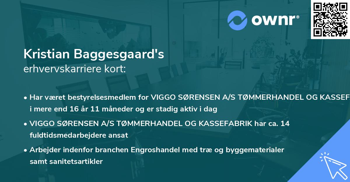 Kristian Baggesgaard's erhvervskarriere kort