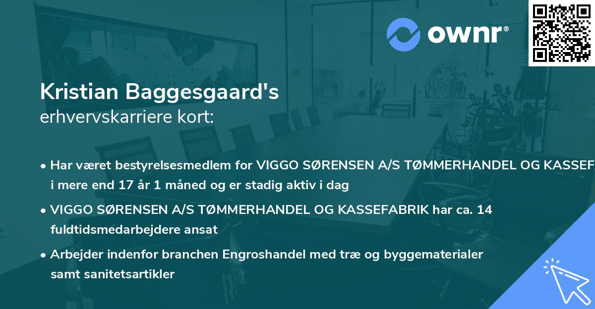 Kristian Baggesgaard's erhvervskarriere kort