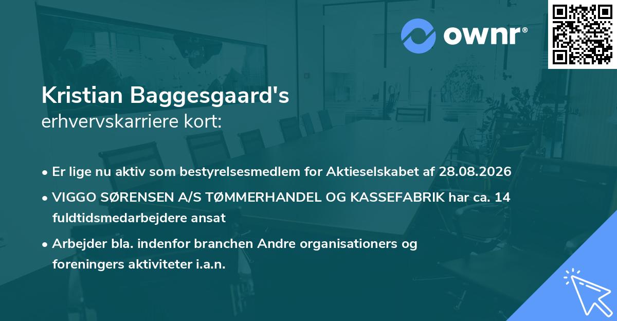 Kristian Baggesgaard's erhvervskarriere kort