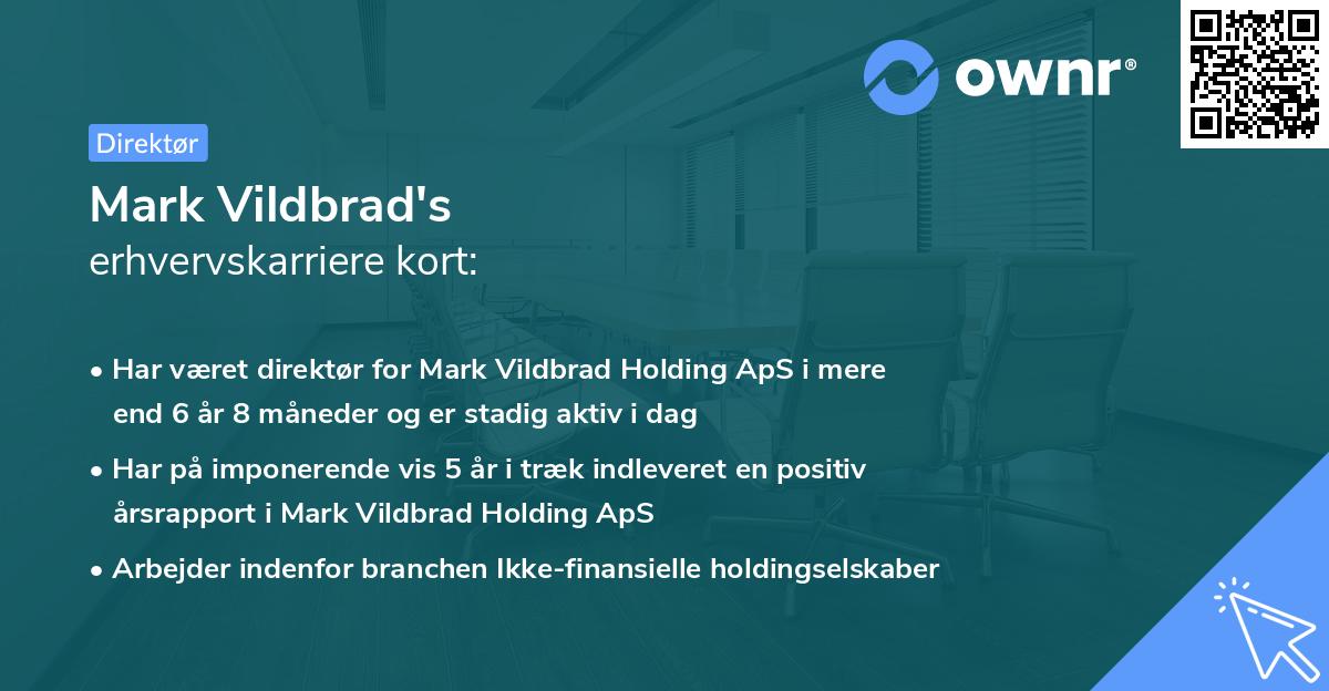 Mark Vildbrad's erhvervskarriere kort