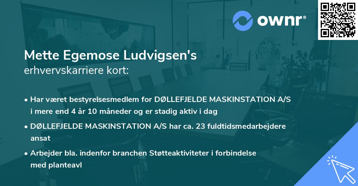 Mette Egemose Ludvigsen's erhvervskarriere kort