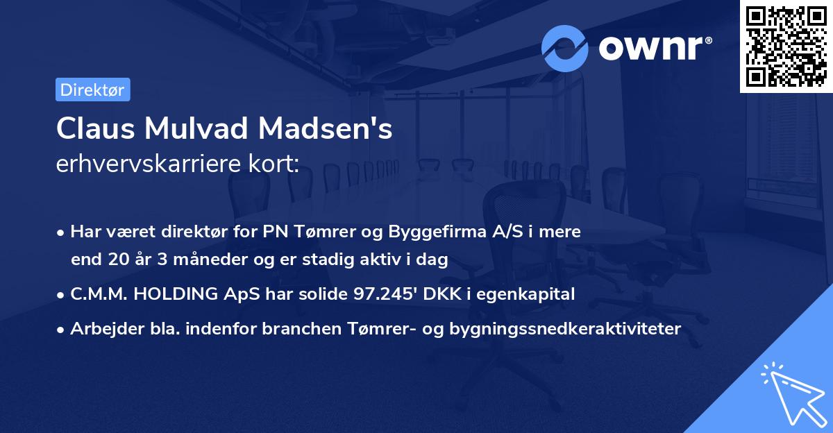 Claus Mulvad Madsen's erhvervskarriere kort