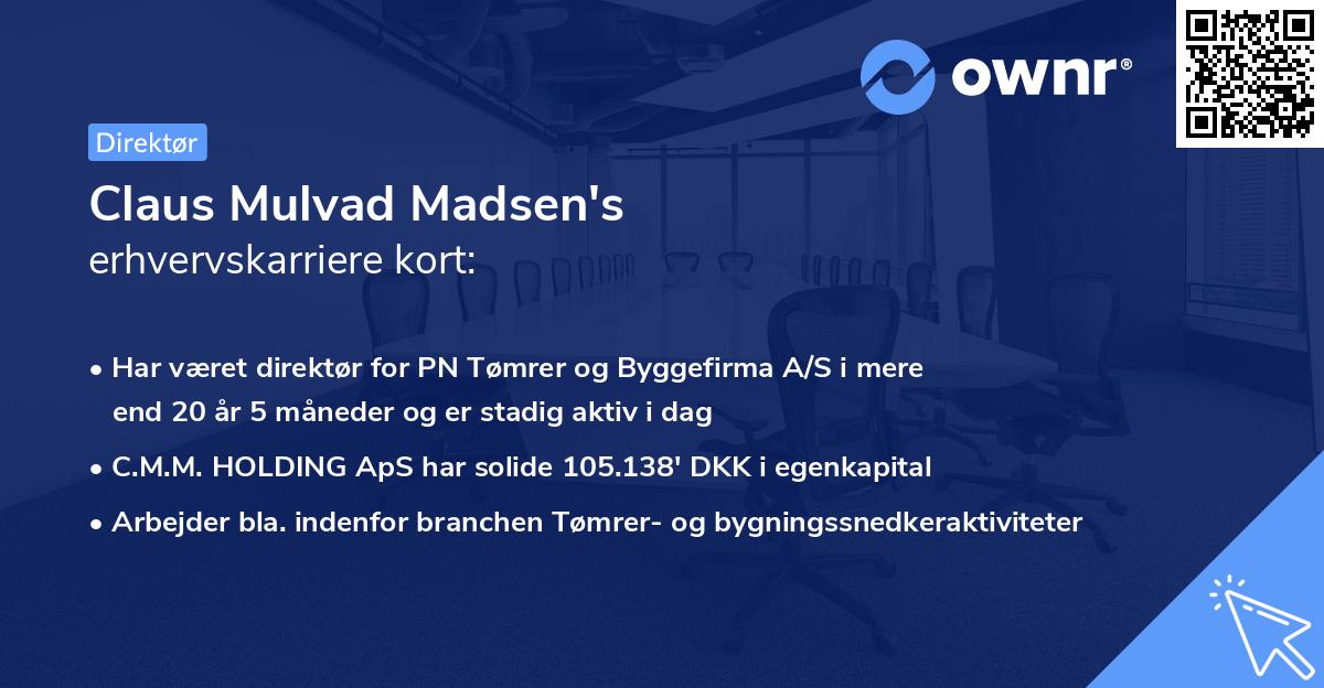 Claus Mulvad Madsen's erhvervskarriere kort