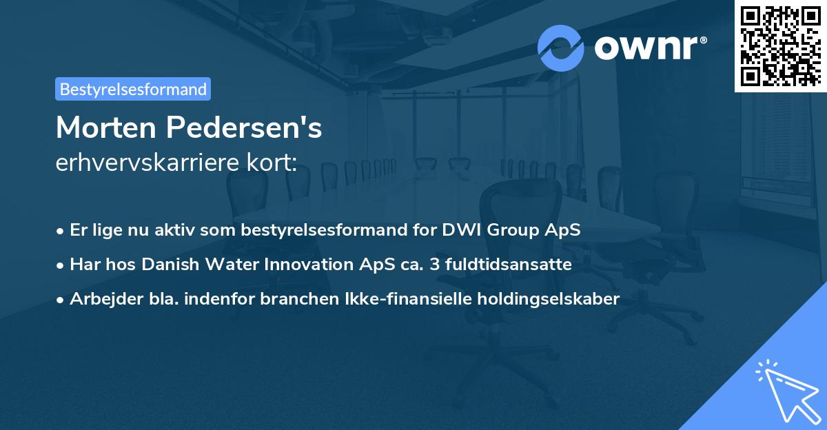 Morten Pedersen's erhvervskarriere kort