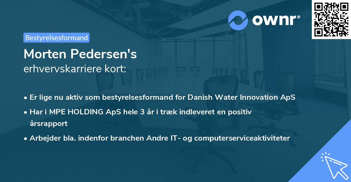 Morten Pedersen's erhvervskarriere kort